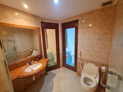 Cairnhill Plaza (D9), Apartment #490138401